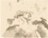 Europe contours 2000 meters