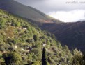 ab_albanian_village.html