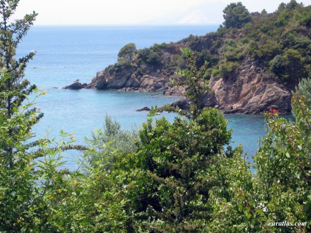 Cliquez ici pour télécharger A small Cove at Skiathos Island