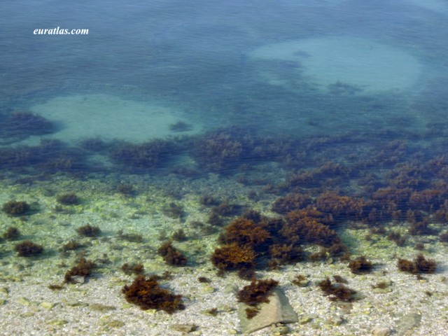 Cliquez ici pour télécharger Dalmatian Sea