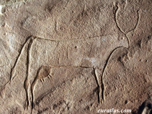 Click to download the Predynastic Cow