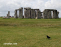 fr_stonehenge_crow.html