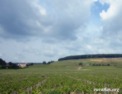 fr_bourgogne_vineyards.html