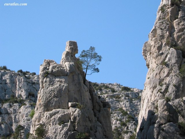 calanques_dame.jpg