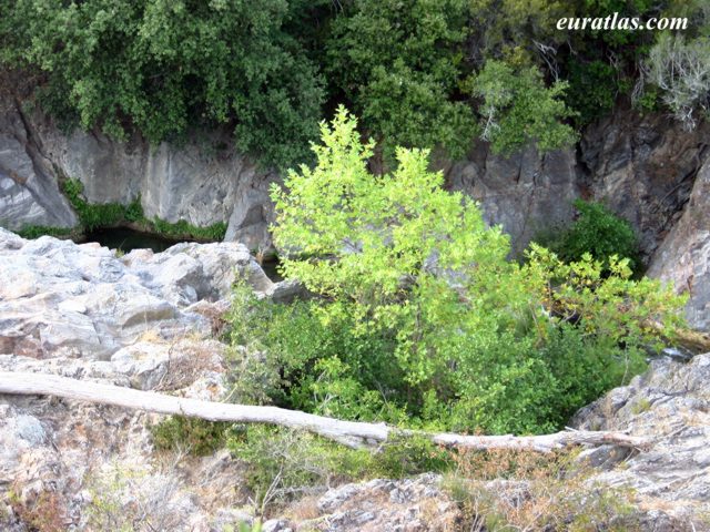 Click to download the The Gorge of the Siagne River, Var