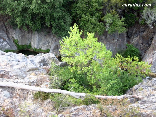 Cliquez ici pour télécharger The Gorge of the