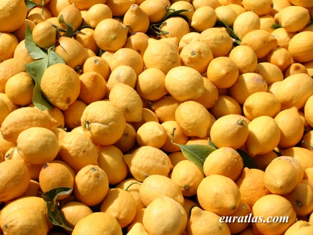 Click to download the Golden Lemons