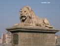 fr_lion.html