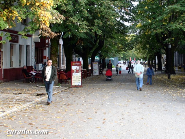 Click to download the Street Scene, Cetinje