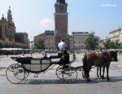 fr_krakow_rynek_caleche.html