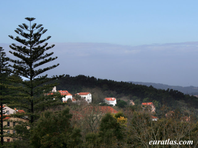 Click to download the Countryside near Sintra