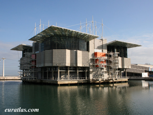 Click to download the The Lisbon Oceanarium