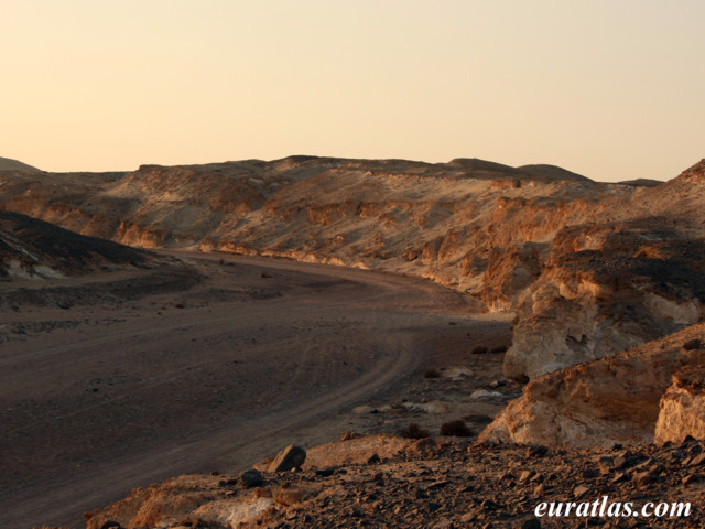 Cliquez ici pour télécharger Trail in the Desert