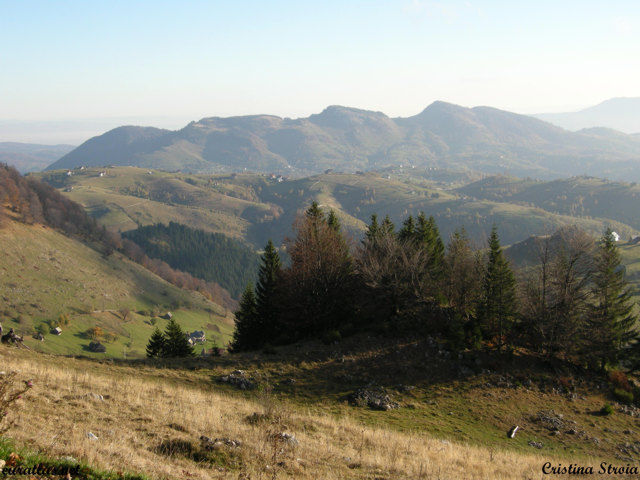 Click to download the Countryside, Bran-Rucar Pass, Piatra Craiului Mountains