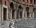 fr_forum_market_trajan_shops.html