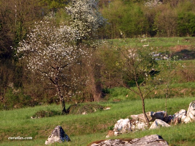 Cliquez ici pour télécharger Slovenian Spring