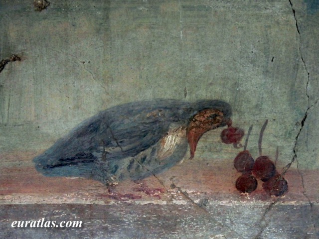 Click to download the A Bird, from a Roman Painting in Herculaneum