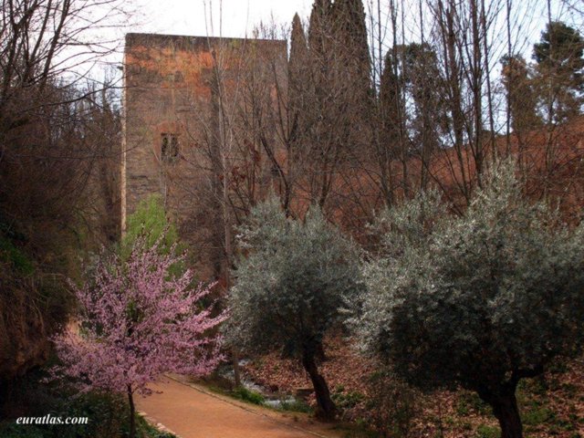 granada_alhambra_walls.jpg