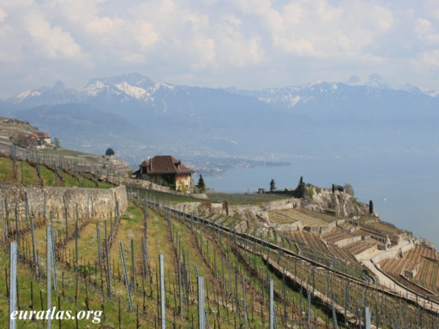 Click to download the Montreux, Vevey and Lavaux