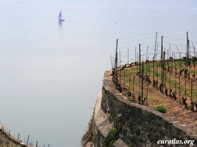 lavaux_lake.jpg