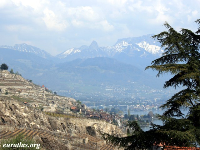 st_saphorin_vevey_alps.jpg