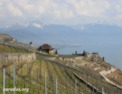 fr_lavaux.html