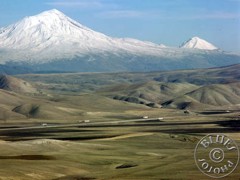 Ararat