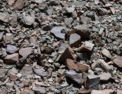 fr_np_mountain_porphyry.html
